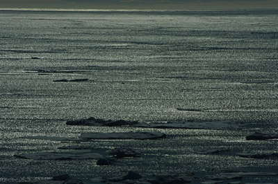 Dundas Harbour, Bylot Island